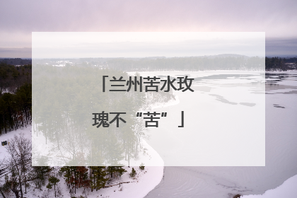 兰州苦水玫瑰不“苦”
