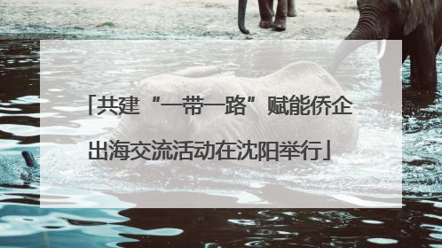 共建“一带一路”赋能侨企出海交流活动在沈阳举行