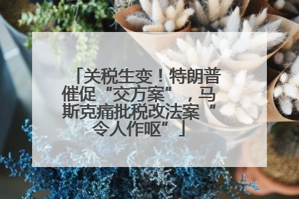 关税生变！特朗普催促“交方案”，马斯克痛批税改法案“令人作呕”