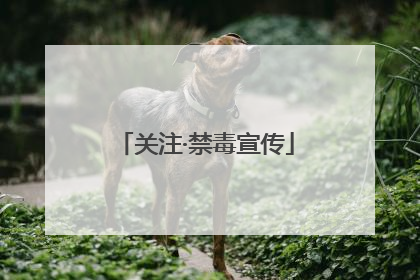 关注·禁毒宣传