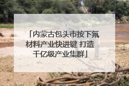 内蒙古包头市按下氟材料产业快进键 打造千亿级产业集群