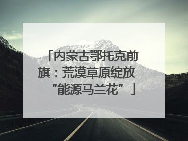 内蒙古鄂托克前旗：荒漠草原绽放“能源马兰花”