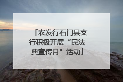 农发行石门县支行积极开展“民法典宣传月”活动