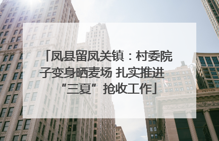 凤县留凤关镇：村委院子变身晒麦场 扎实推进“三夏”抢收工作