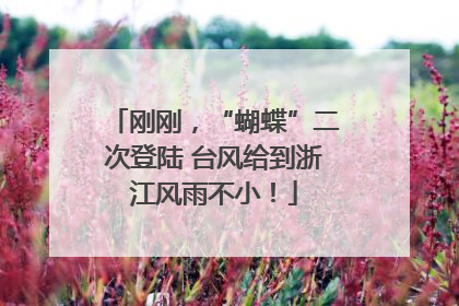 刚刚，“蝴蝶”二次登陆 台风给到浙江风雨不小！