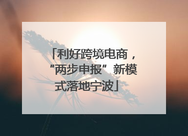 利好跨境电商，“两步申报”新模式落地宁波