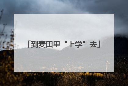 到麦田里“上学”去