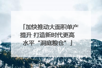 加快推动大面积单产提升 打造新时代更高水平“洞庭粮仓”