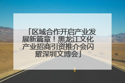 区域合作开启产业发展新篇章！黑龙江文化产业招商引资推介会闪耀深圳文博会