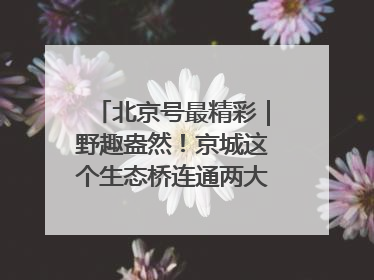 北京号最精彩｜野趣盎然！京城这个生态桥连通两大网红公园
