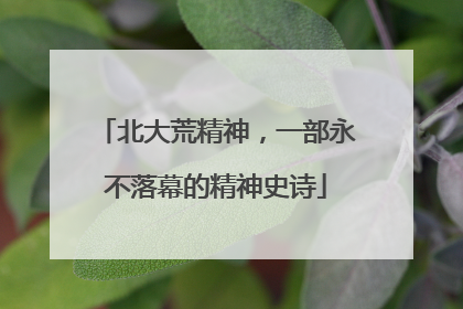 北大荒精神，一部永不落幕的精神史诗