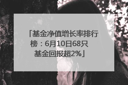 基金净值增长率排行榜：6月10日68只基金回报超2%