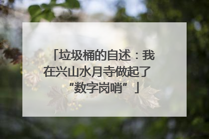 垃圾桶的自述：我在兴山水月寺做起了“数字岗哨”