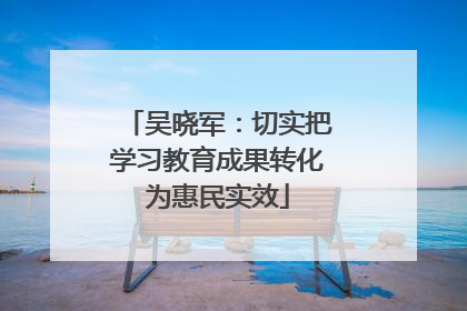 吴晓军：切实把学习教育成果转化为惠民实效