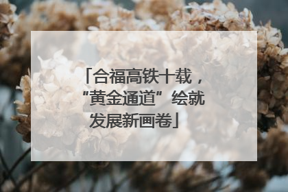 合福高铁十载，“黄金通道”绘就发展新画卷