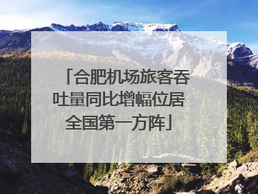 合肥机场旅客吞吐量同比增幅位居全国第一方阵