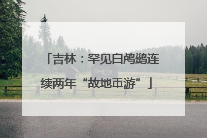 吉林：罕见白鸬鹚连续两年“故地重游”