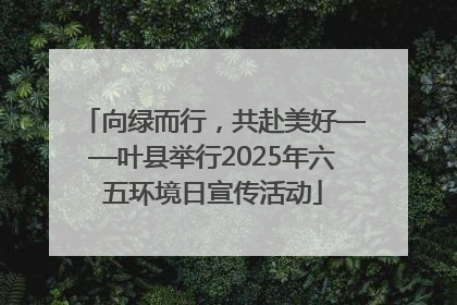 向绿而行，共赴美好——叶县举行2025年六五环境日宣传活动
