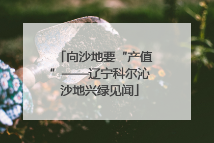 向沙地要“产值”——辽宁科尔沁沙地兴绿见闻