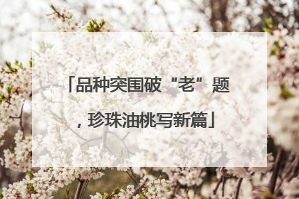 品种突围破“老”题，珍珠油桃写新篇
