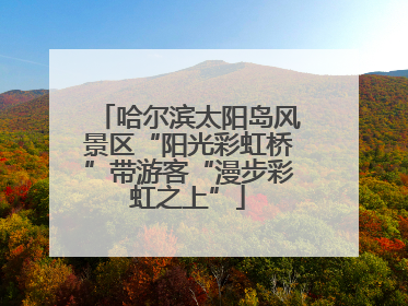 哈尔滨太阳岛风景区“阳光彩虹桥”带游客“漫步彩虹之上”