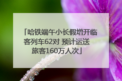 哈铁端午小长假增开临客列车62对 预计运送旅客160万人次