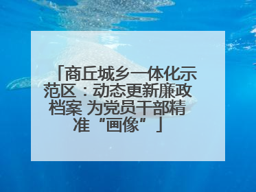 商丘城乡一体化示范区：动态更新廉政档案 为党员干部精准“画像”