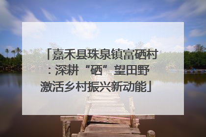 嘉禾县珠泉镇富硒村：深耕“硒”望田野 激活乡村振兴新动能