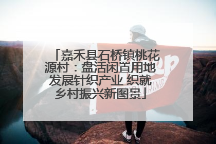 嘉禾县石桥镇桃花源村：盘活闲置用地发展针织产业 织就乡村振兴新图景