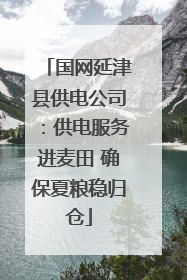 国网延津县供电公司：供电服务进麦田 确保夏粮稳归仓
