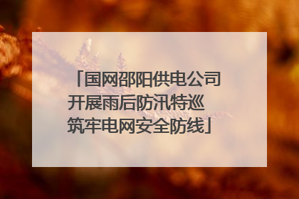 国网邵阳供电公司开展雨后防汛特巡 筑牢电网安全防线
