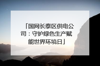 国网长泰区供电公司：守护绿色生产赋能世界环境日