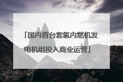 国内首台套氢内燃机发电机组投入商业运营