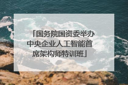国务院国资委举办中央企业人工智能首席架构师特训班