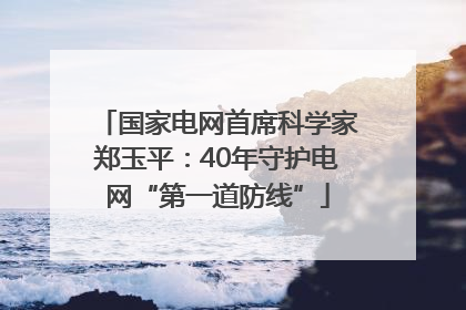 国家电网首席科学家郑玉平：40年守护电网“第一道防线”