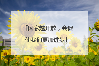 国家越开放，会促使我们更加进步