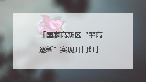 国家高新区“攀高逐新”实现开门红