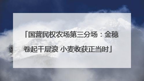 国营民权农场第三分场：金穗卷起千层浪 小麦收获正当时
