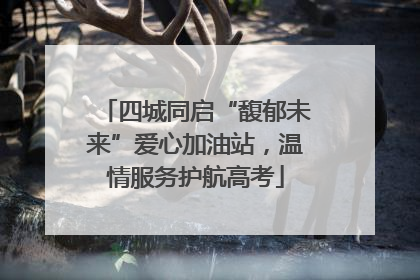 四城同启“馥郁未来”爱心加油站，温情服务护航高考
