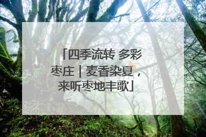 四季流转 多彩枣庄｜麦香染夏，来听枣地丰歌