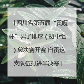 四川省第五届“贡嘎杯”男子排球（初中组）总决赛开赛 自贡这支队伍打进半决赛