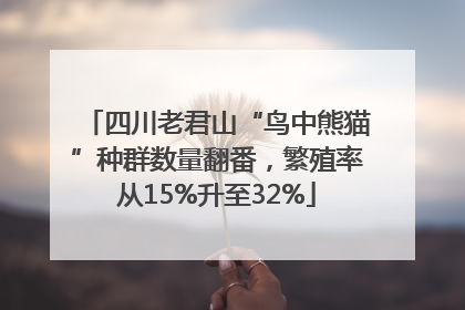 四川老君山“鸟中熊猫”种群数量翻番，繁殖率从15%升至32%