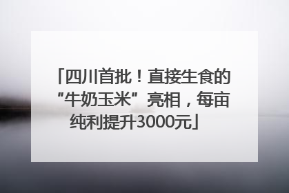 四川首批！直接生食的“牛奶玉米”亮相，每亩纯利提升3000元