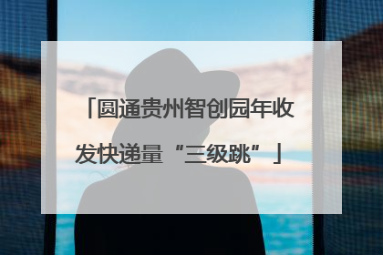 圆通贵州智创园年收发快递量“三级跳”
