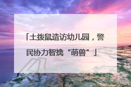 土拨鼠造访幼儿园，警民协力智擒“萌兽”