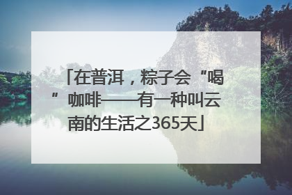 在普洱，粽子会“喝”咖啡——有一种叫云南的生活之365天