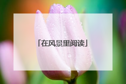 在风景里阅读