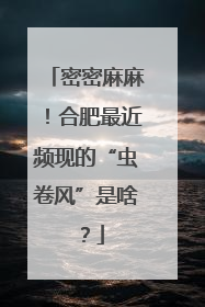 密密麻麻！合肥最近频现的“虫卷风”是啥？
