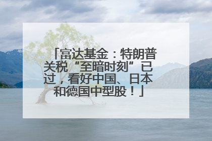 富达基金：特朗普关税“至暗时刻”已过，看好中国、日本和德国中型股！