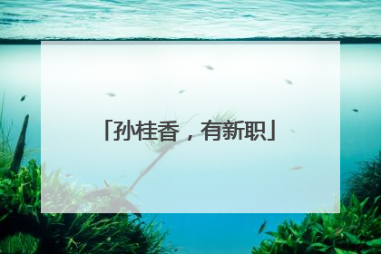孙桂香，有新职